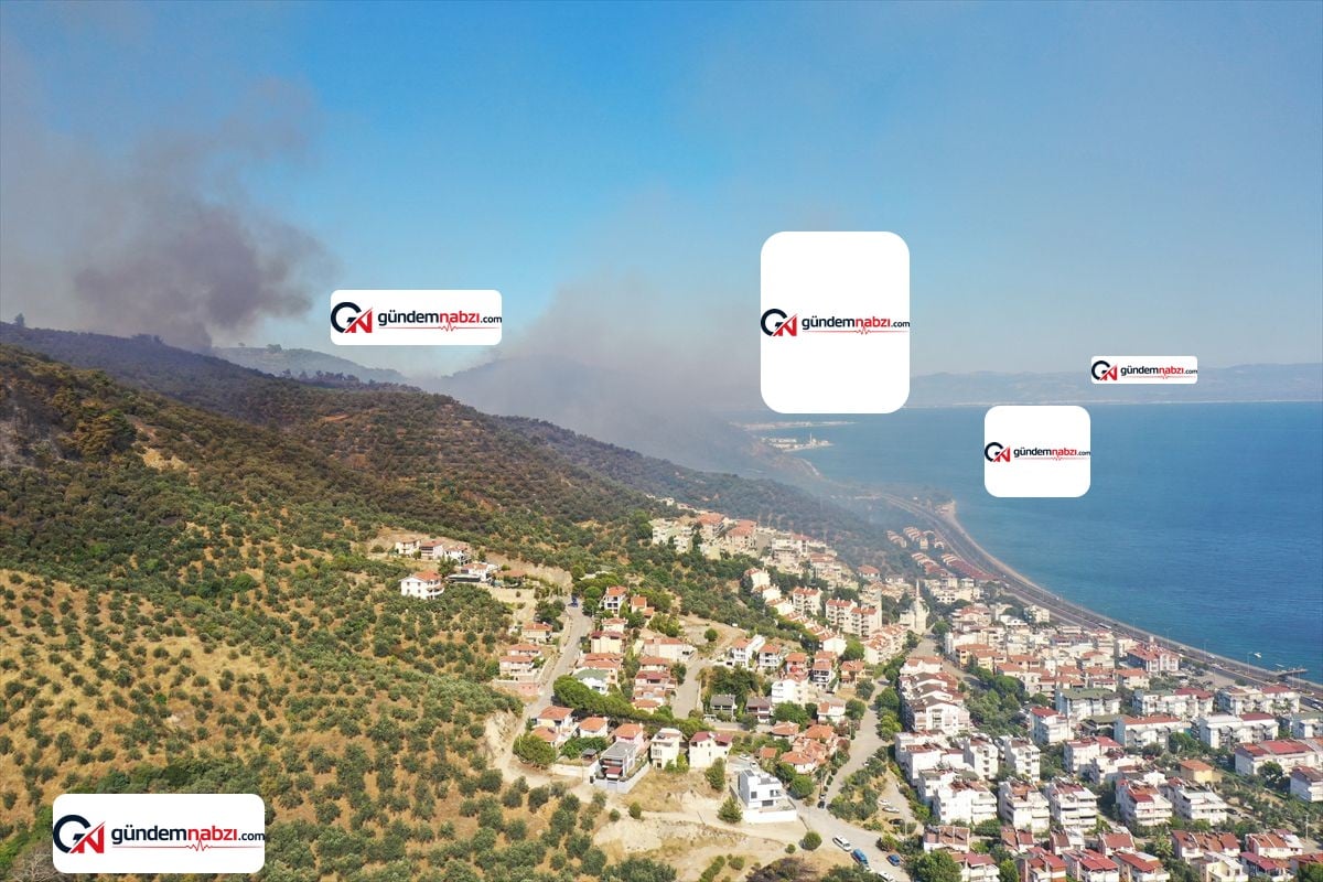 Balıkesir'de orman yangını mezarlığı kül etti