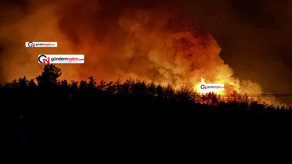 Muğla'da orman yangını: Havadan ve karadan müdahale