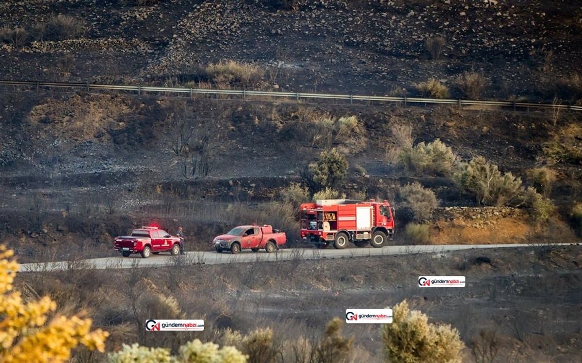 Yunanistan'da orman yangınları sürüyor: Girit ve Midilli'de tahliyeler