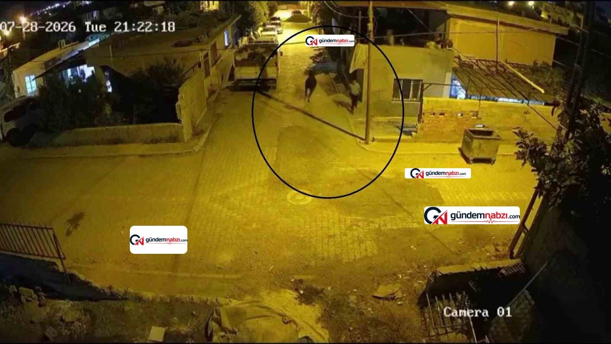 Hatay'da kaçan angus mahallede paniğe neden oldu