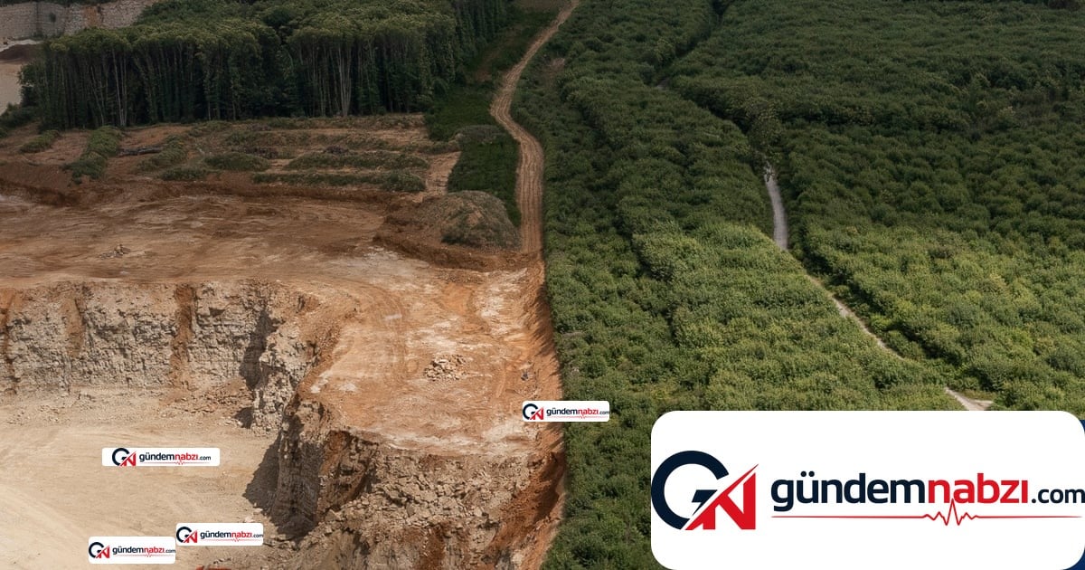 İngiltere'de tarihi Oaken Wood için taşocağı tehdidi