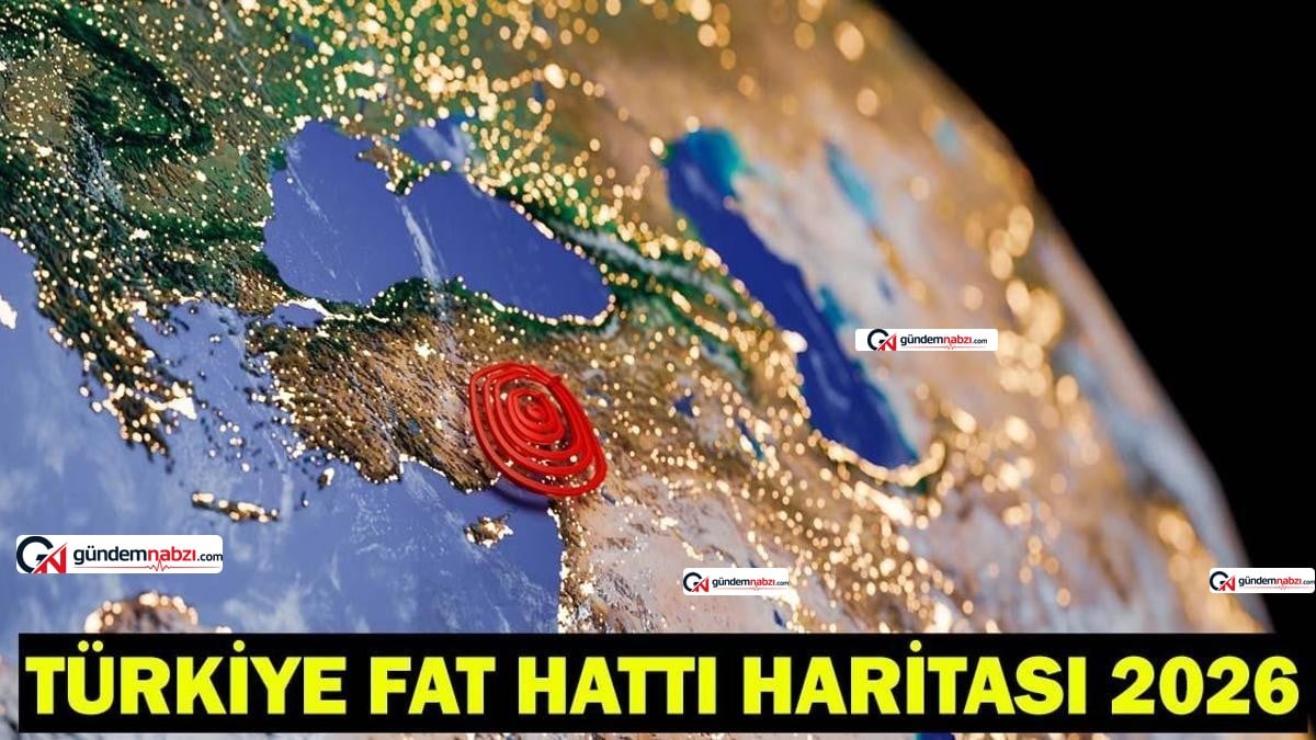 Türkiye diri fay hattı haritası ve deprem riski sorgulama