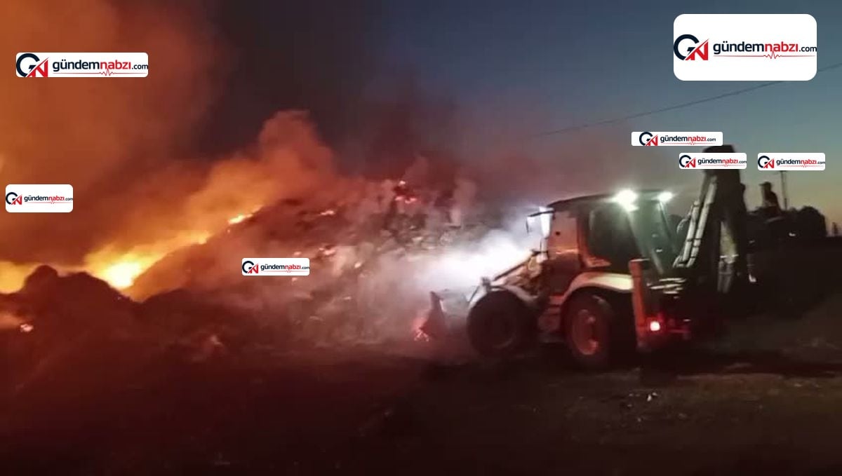 Iğdır'da anız yakmak yasaklandı