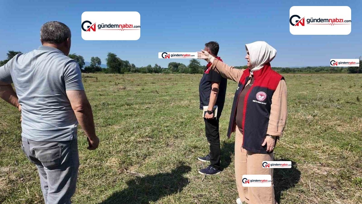 Düzce'de 400 dönüm mera ıslah edildi, kapasite iki katına çıktı