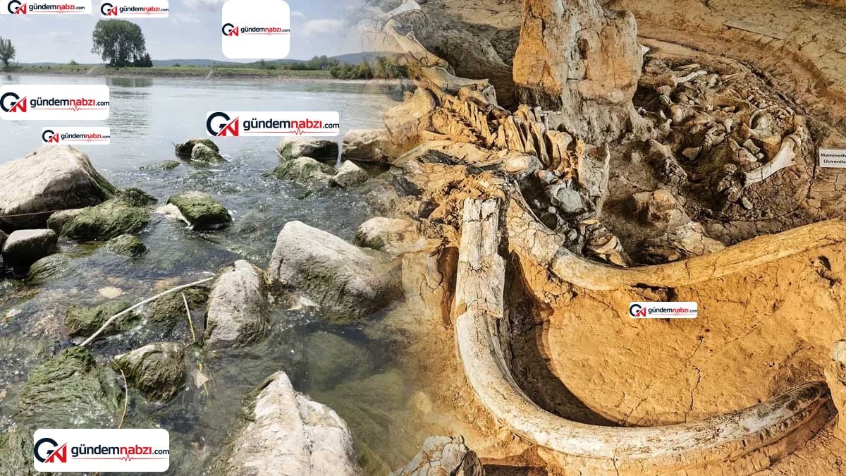 Tuna Nehri'nde su seviyesi düşünce mamut kemikleri bulundu
