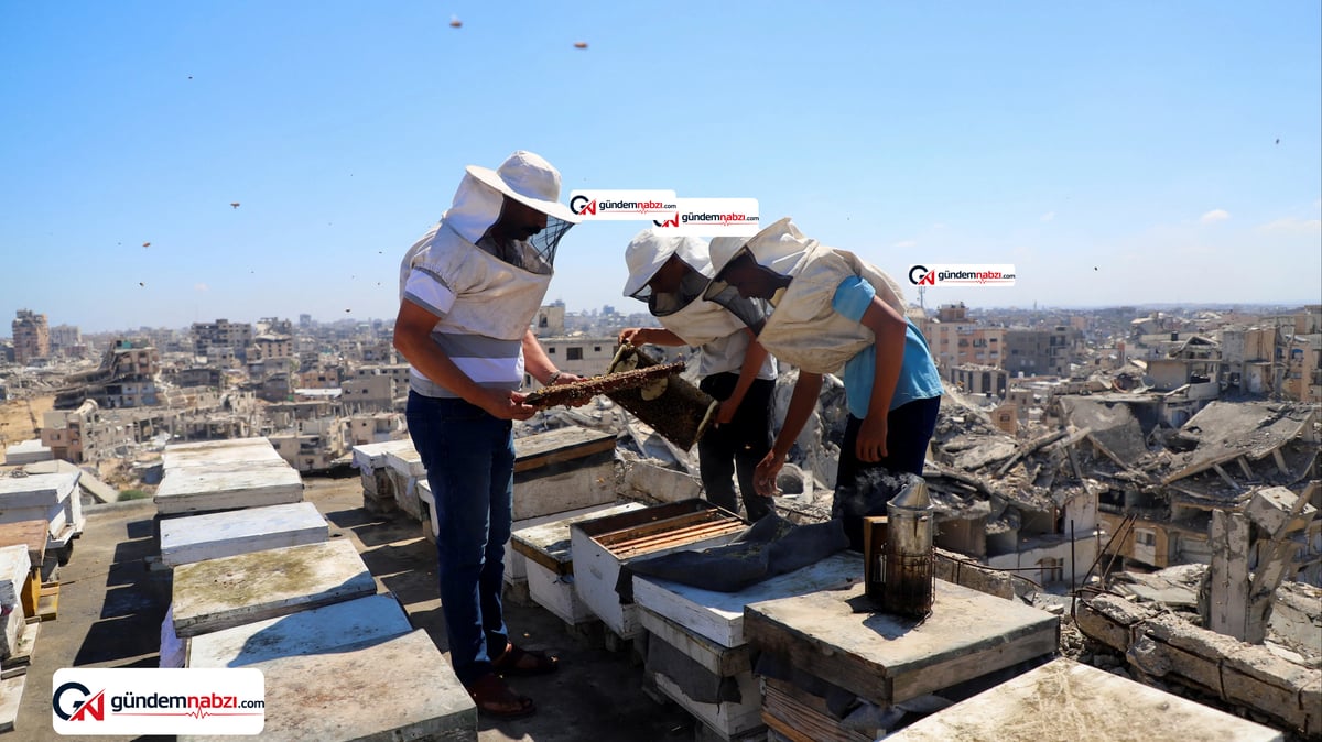 Gazze'de bal üretimi bitti: 30 bin kovandan 700'ü kaldı