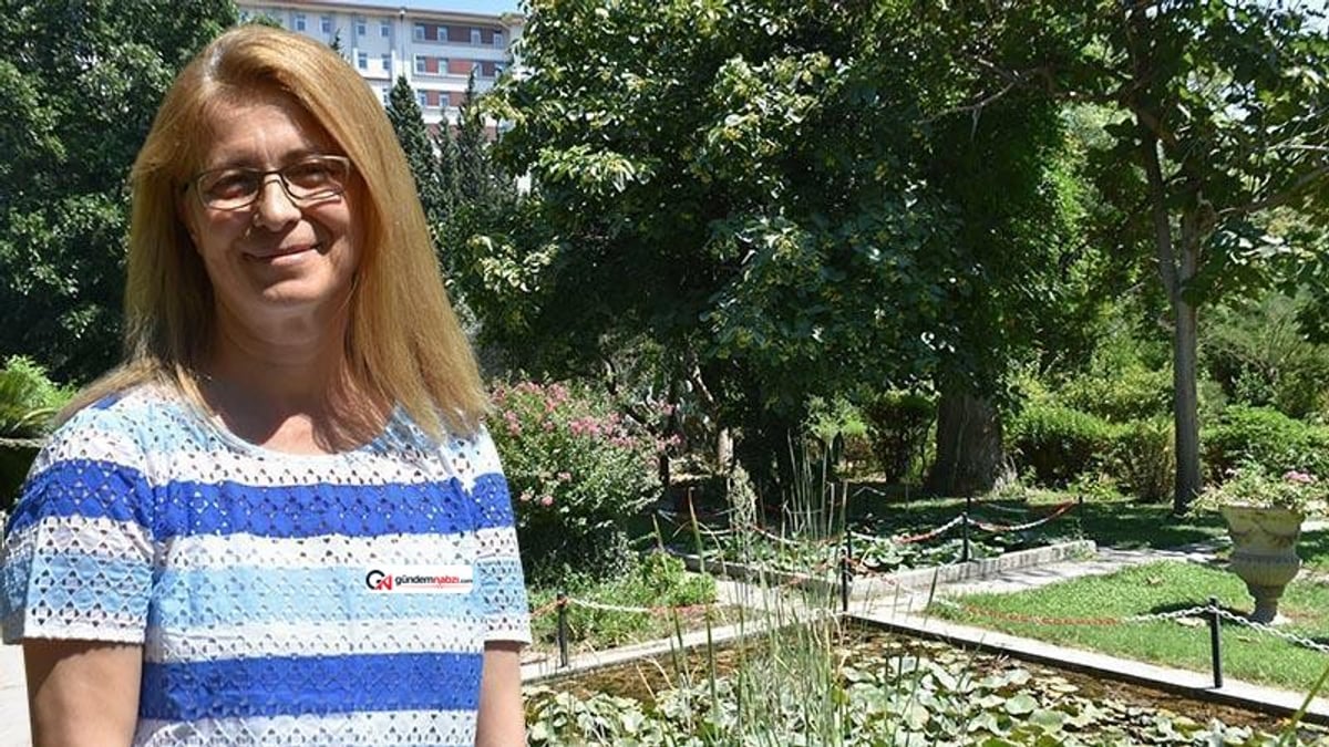 Uzmanından uyarı: Doğal tampon bölgeler hızla yok oluyor