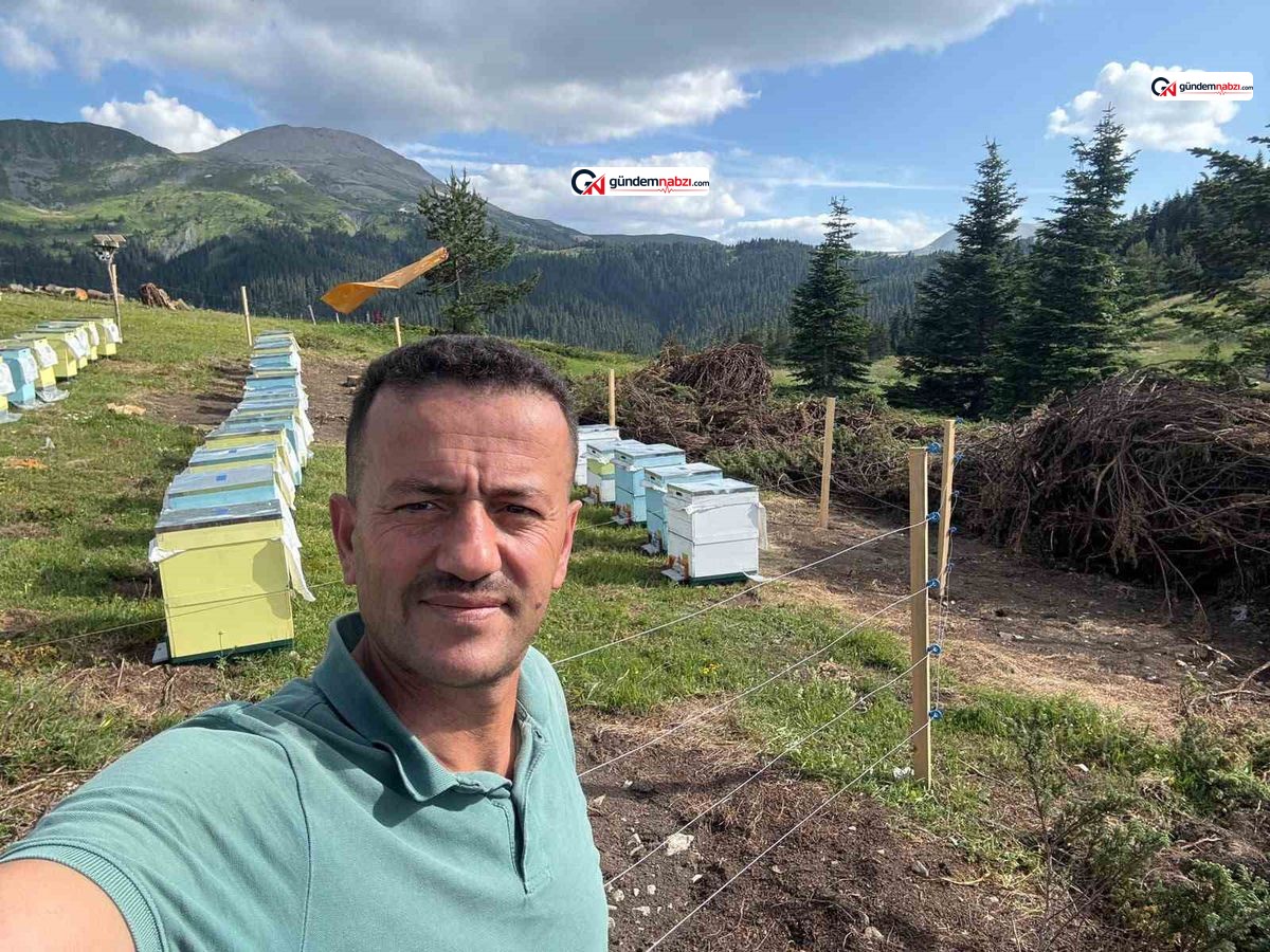 Ilgaz Dağı'nda koruma altındaki gelincik görüntülendi