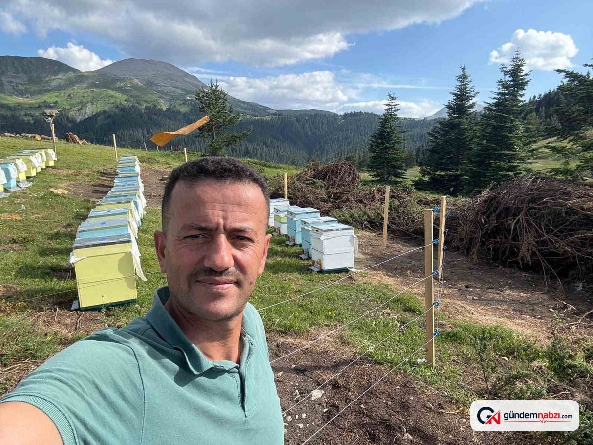 Ilgaz Dağı'nda koruma altındaki gelincik görüntülendi