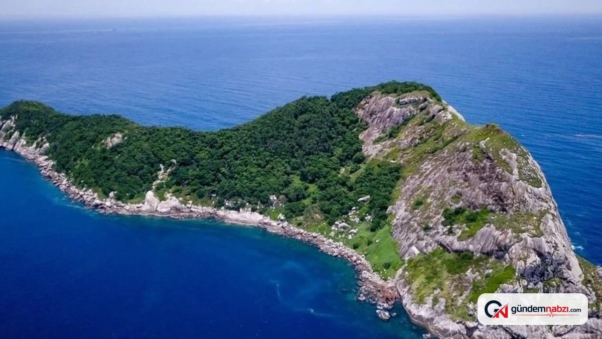 Ziyaretin yasak olduğu Brezilya'daki Yılan Adası'nda tehlike