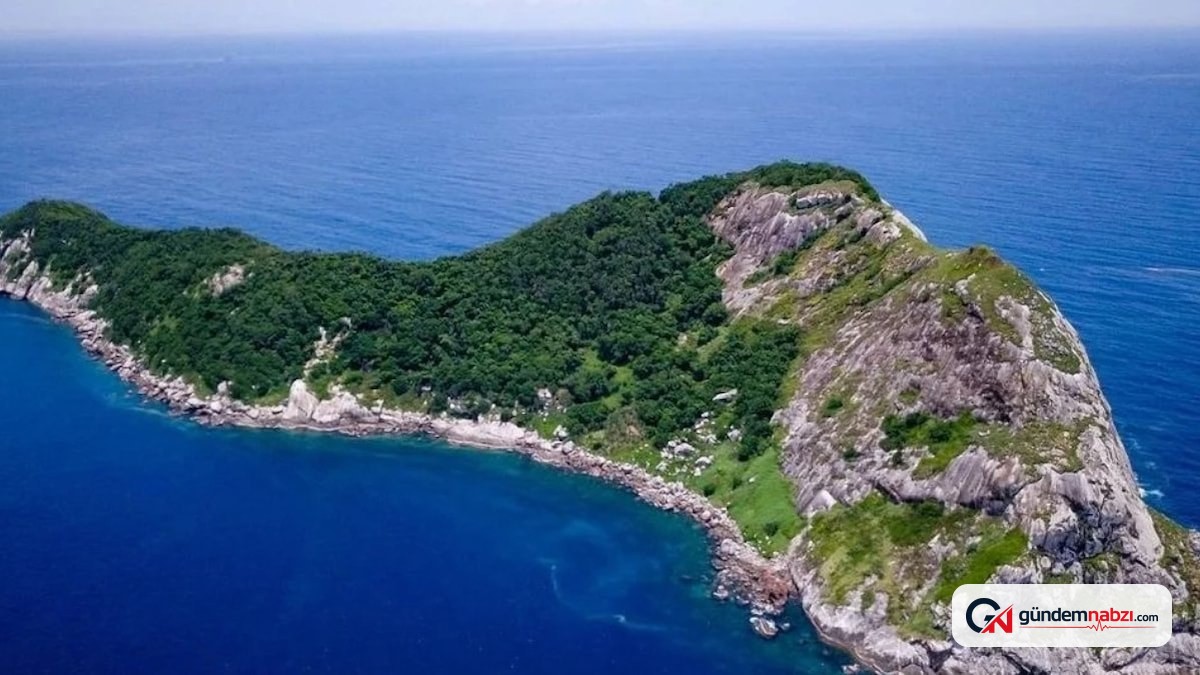 Ziyaretin yasak olduğu Brezilya'daki Yılan Adası'nda tehlike