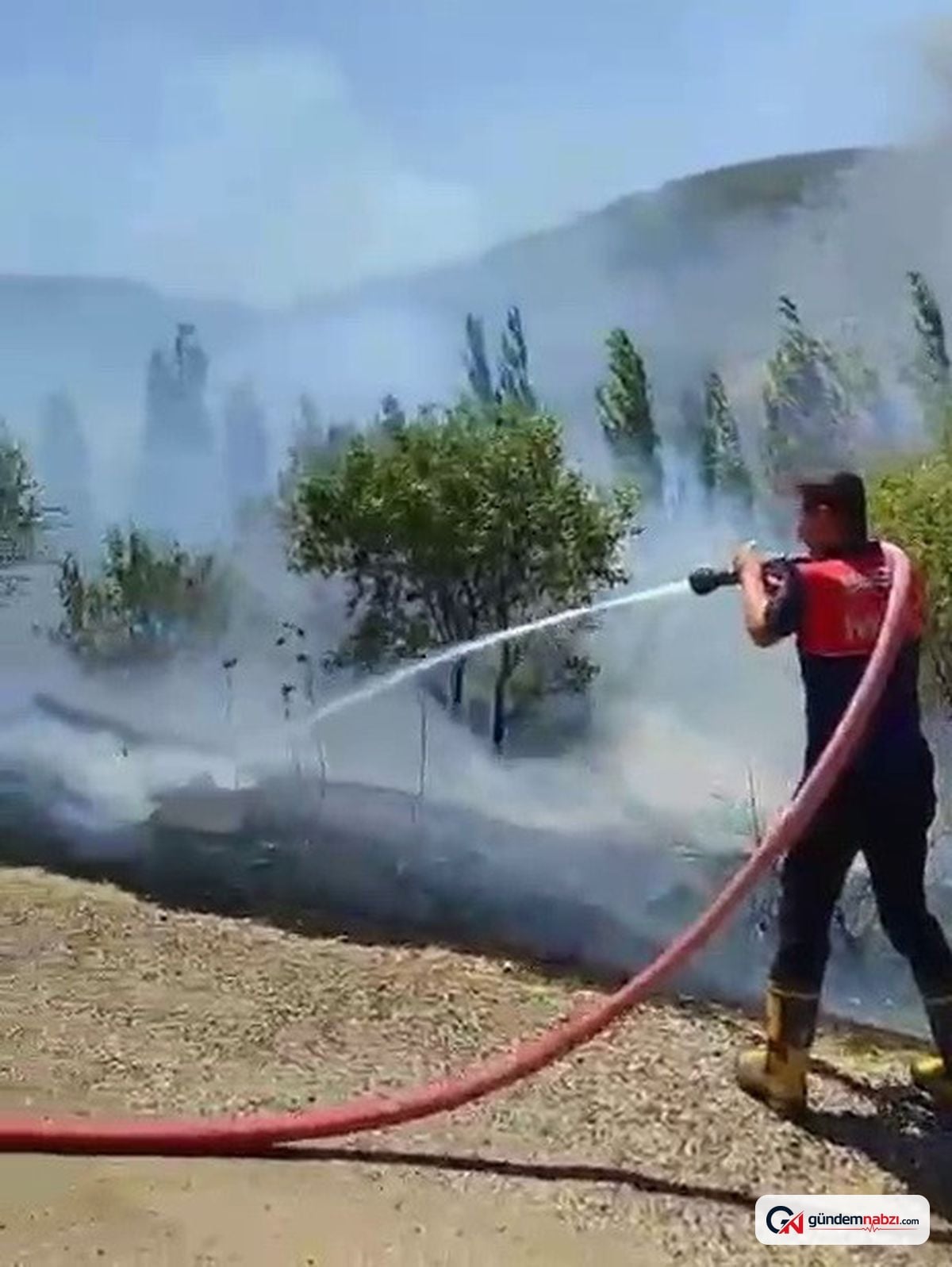 Adıyaman'da bahçe yangını çıktı, çok sayıda ağaç zarar gördü