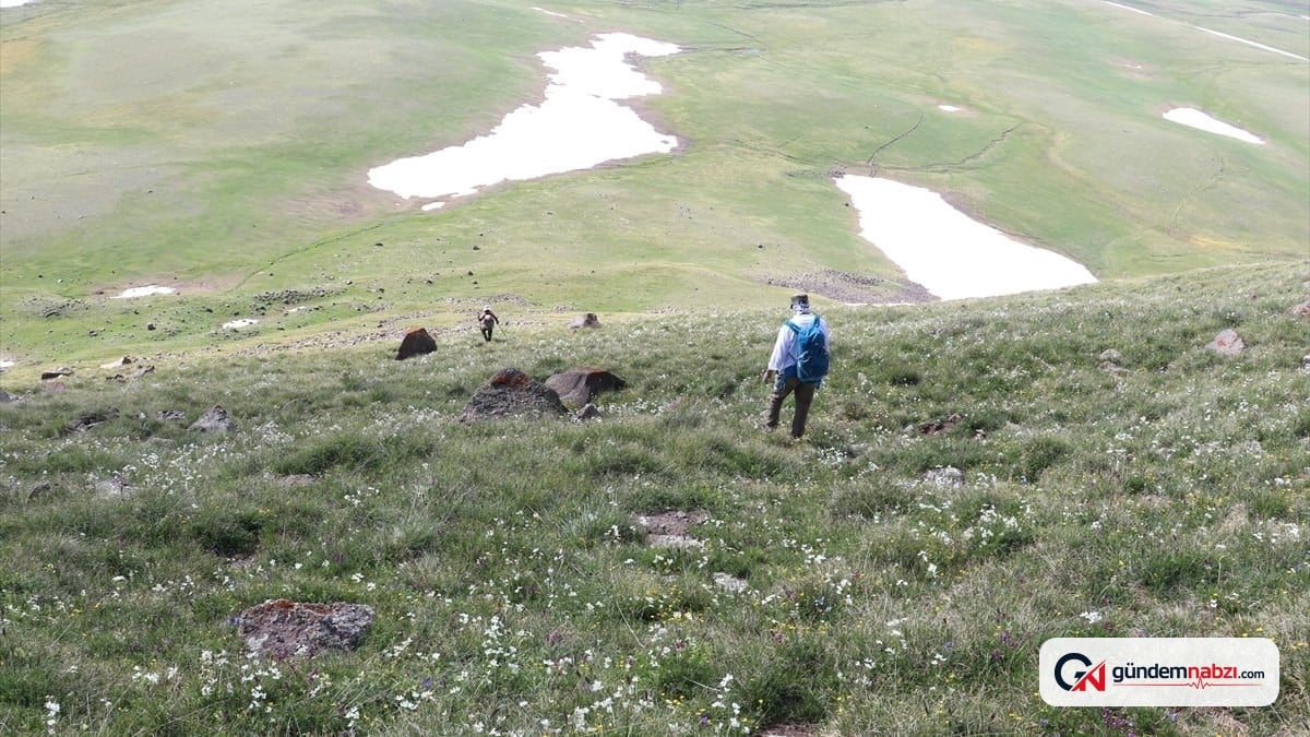 Ağrı'da yaz ortasında kış ve bahar bir arada yaşanıyor