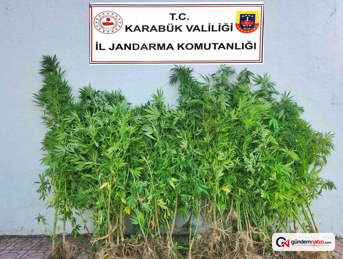 Karabük'teki uyuşturucu operasyonunda 6 şüpheli adliyede
