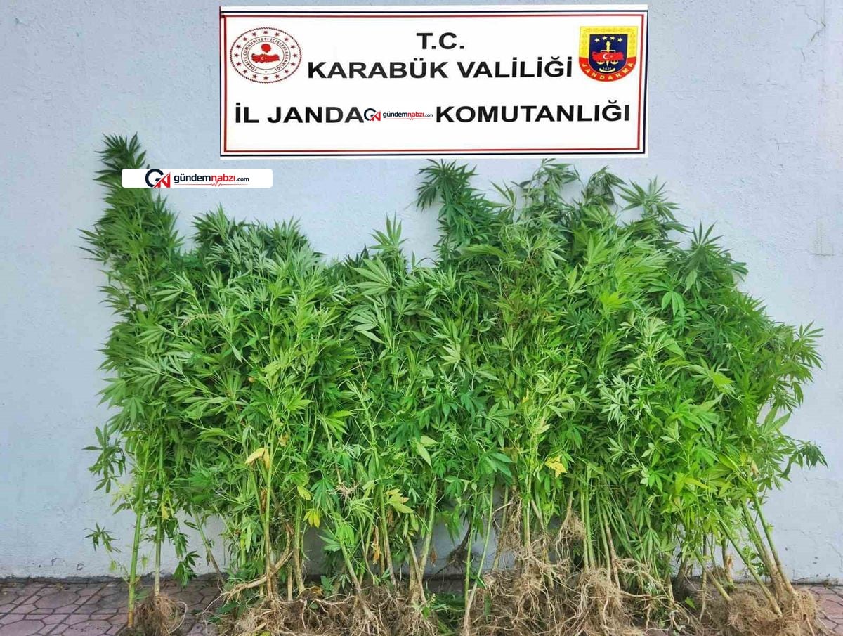 Karabük'teki uyuşturucu operasyonunda 6 şüpheli adliyede