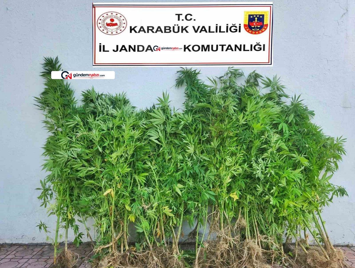 Karabük'teki uyuşturucu operasyonunda 6 şüpheli adliyede