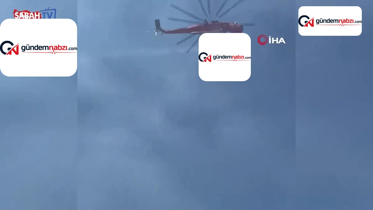 Balıkesir Sındırgı'da orman yangını çıktı