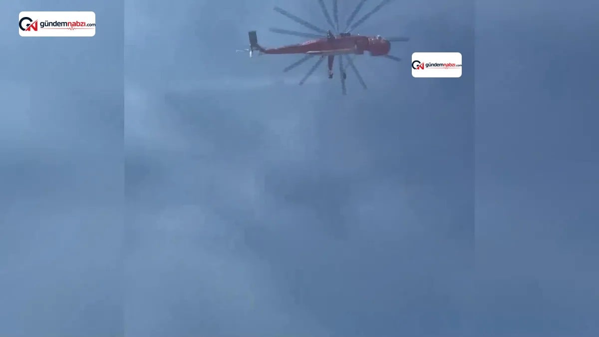 Balıkesir Sındırgı'da orman yangını çıktı