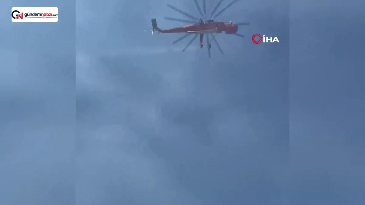 Balıkesir Sındırgı'da orman yangını çıktı