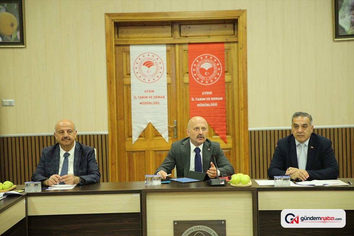 Aydın'da kuru incir depolama alanları denetlenecek