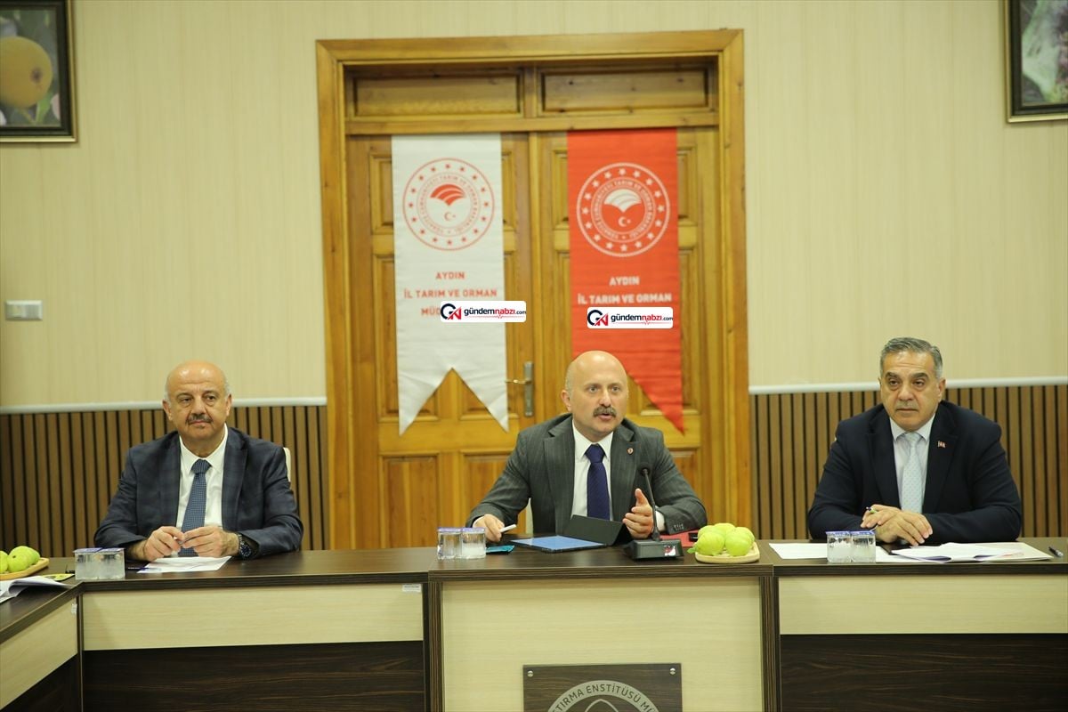 Aydın'da kuru incir depolama alanları denetlenecek